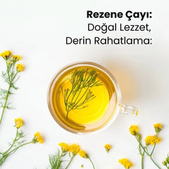 Rezene Çayı 100 Gram - Hediye Kutusu
