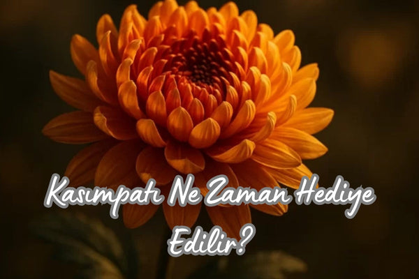 Kasımpatı Ne Zaman Hediye Edilir?