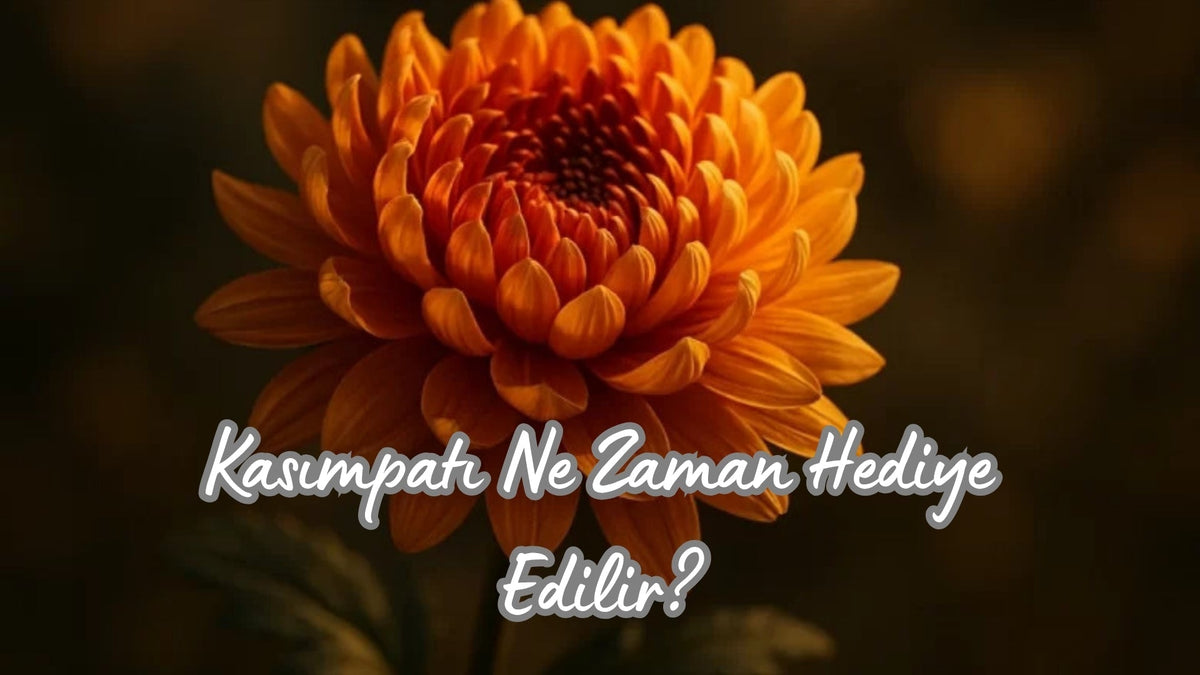 Kasımpatı Ne Zaman Hediye Edilir? - Hediye Kutusu