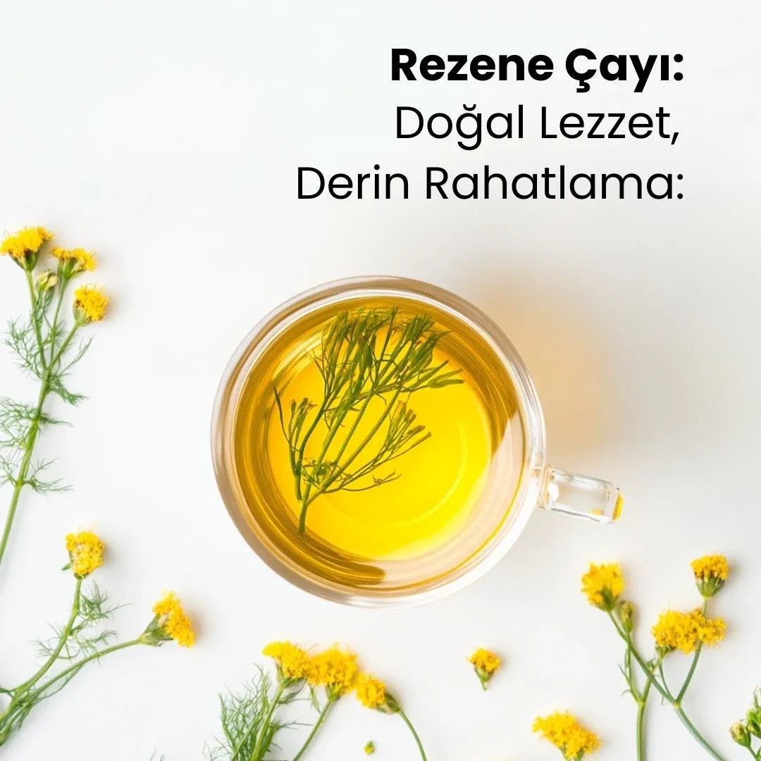 Rezene Çayı 100 Gram - Hediye Kutusu